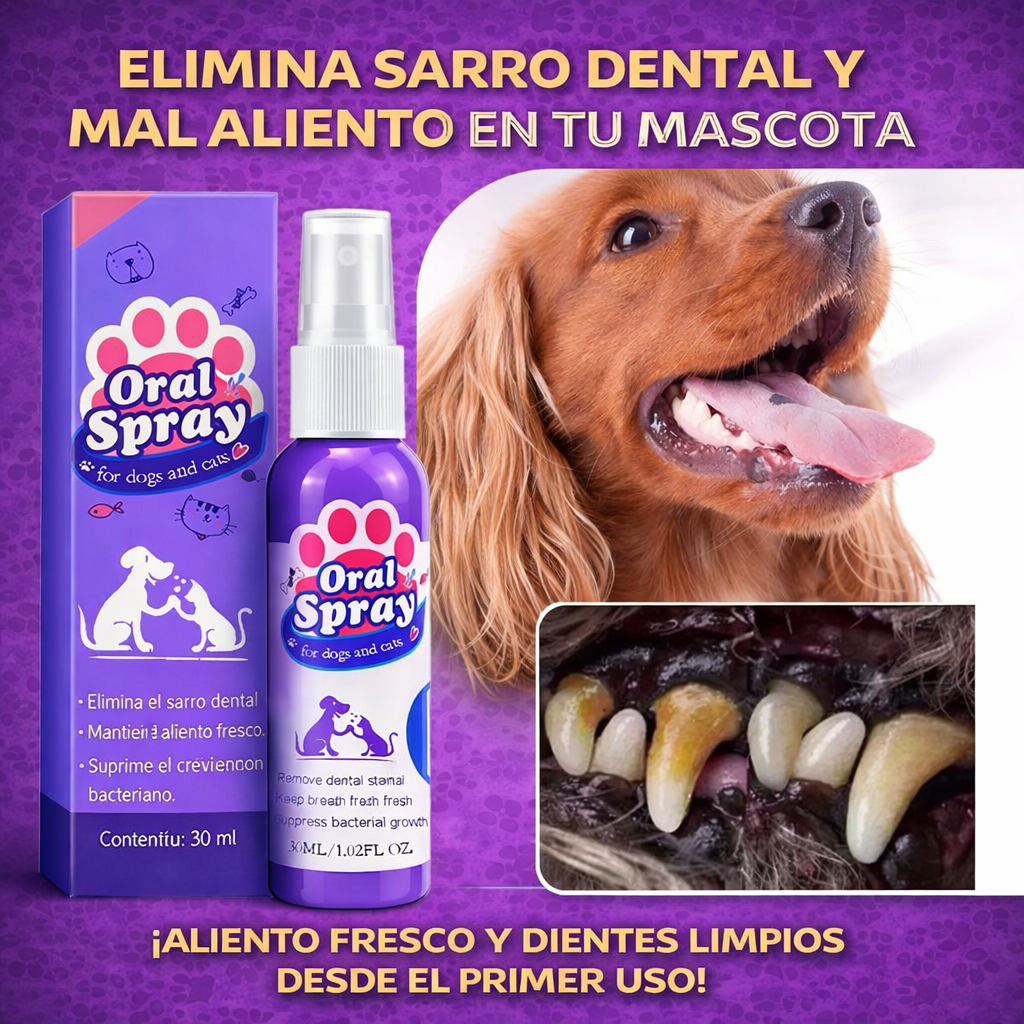 OralPet™ | Elimina el Sarro y Protege su Salud